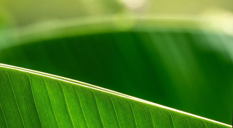 14 Rang 149 Pircher Monika